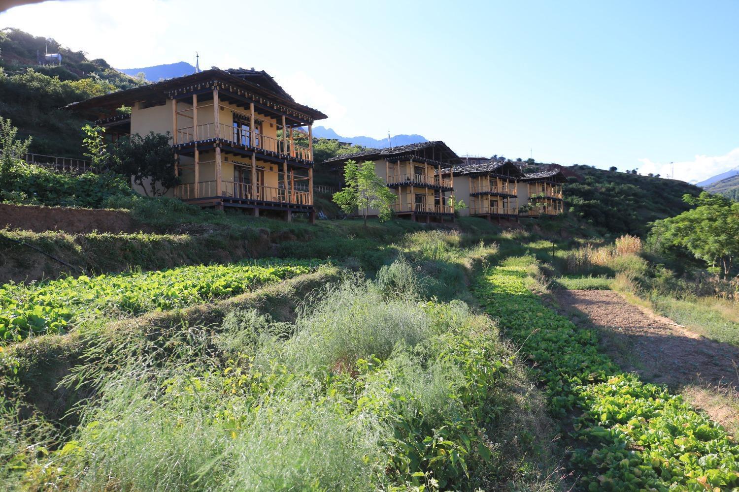 Wangdue Ecolodge Wangdue Phodrang 외부 사진