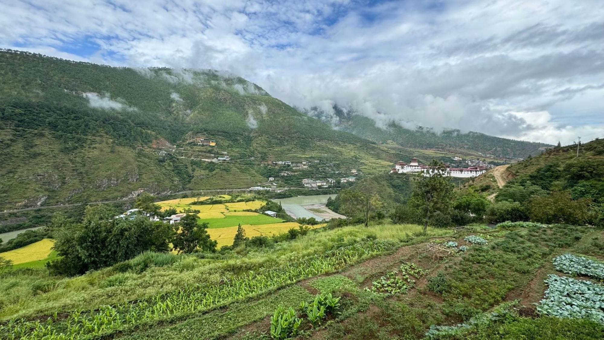 Wangdue Ecolodge Wangdue Phodrang 외부 사진
