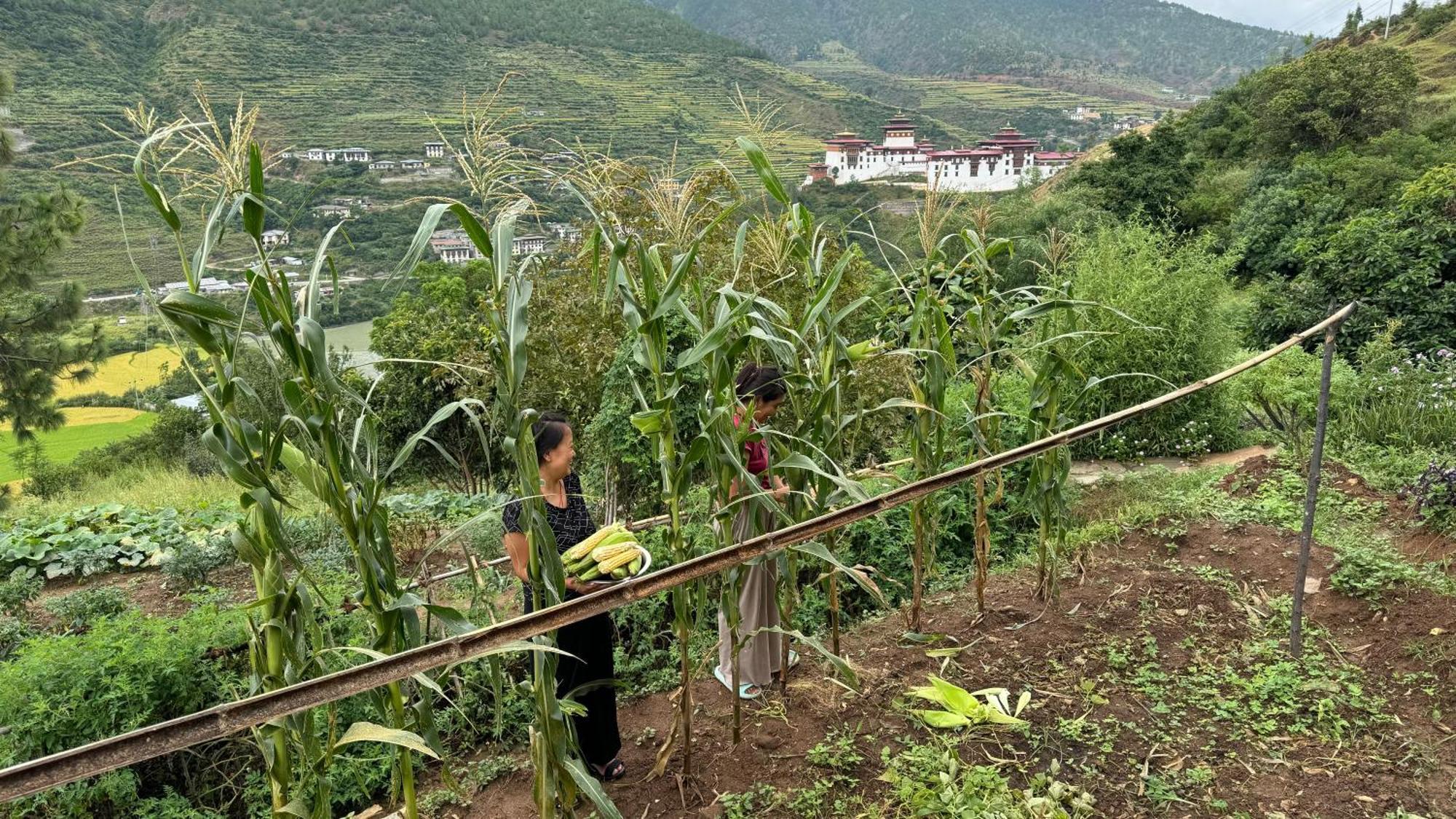 Wangdue Ecolodge Wangdue Phodrang 외부 사진