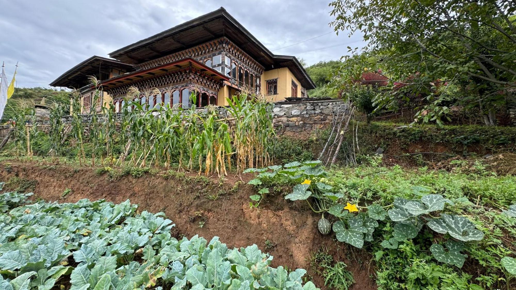 Wangdue Ecolodge Wangdue Phodrang 외부 사진