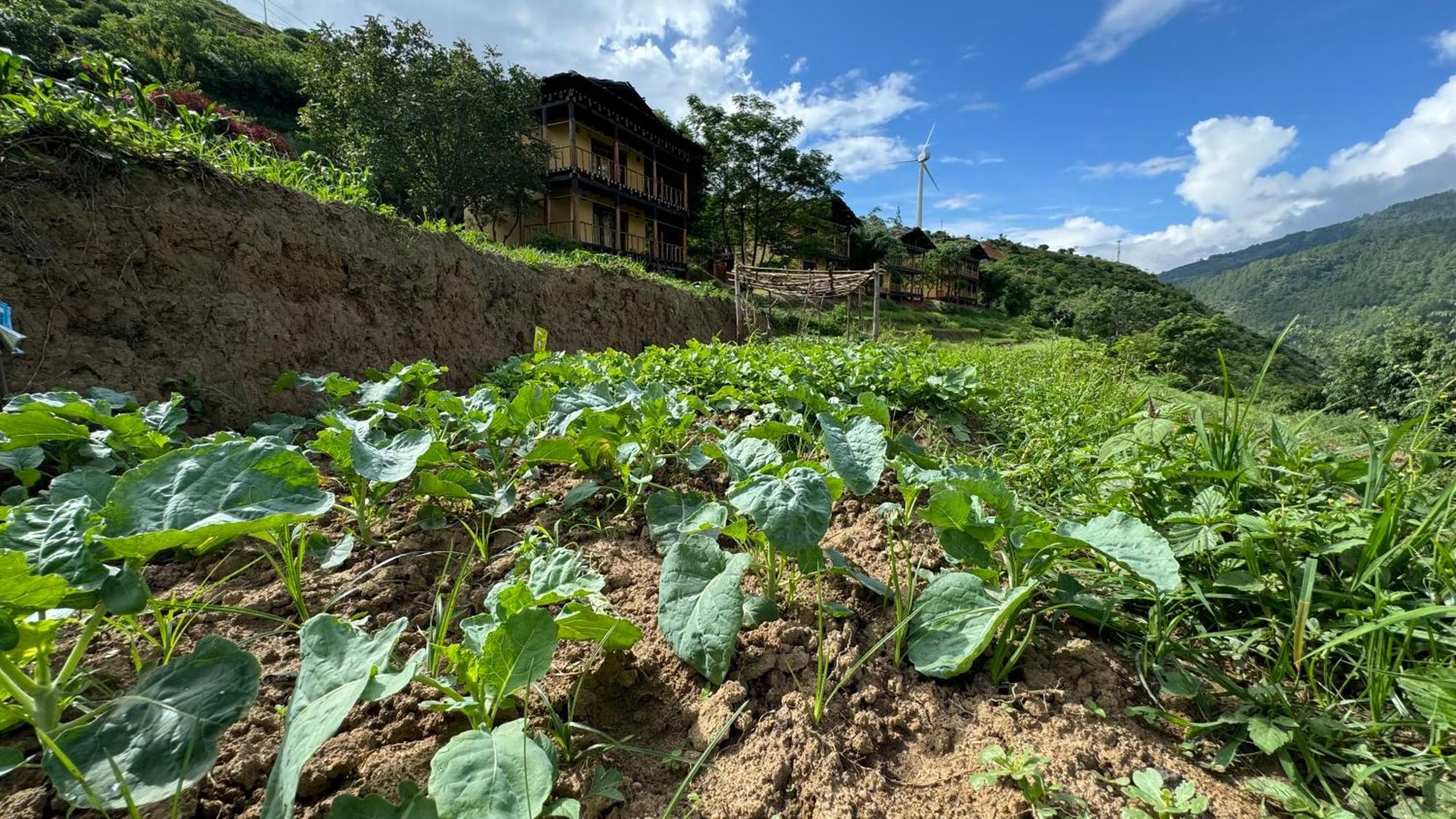 Wangdue Ecolodge Wangdue Phodrang 외부 사진