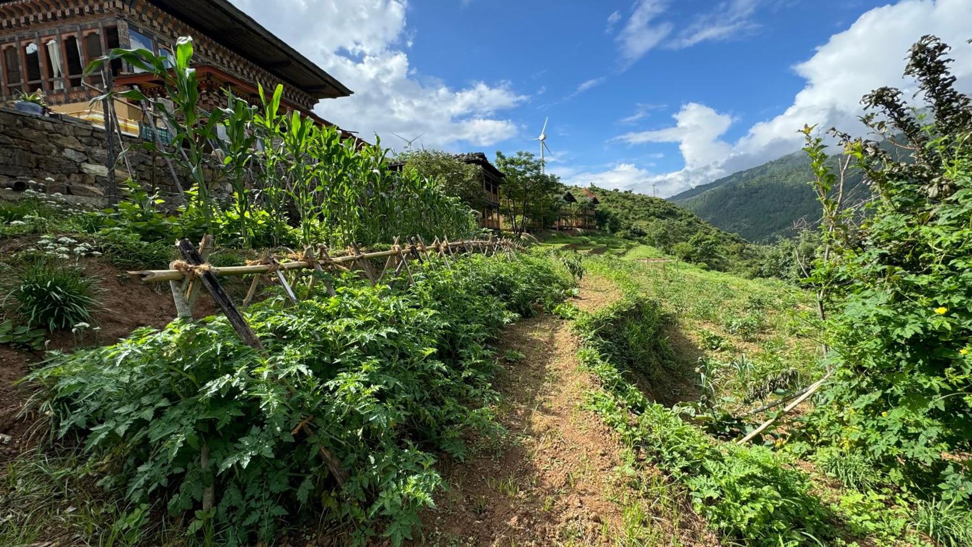 Wangdue Ecolodge Wangdue Phodrang 외부 사진